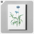 アートパネル-Blue flower - ピエール ジョゼフ ルドゥーテ Canvas.