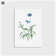 アートポストカード-Blue flower - ピエール ジョゼフ ルドゥーテ Postcard.