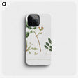 2-35_Pomona-Italiana_phone