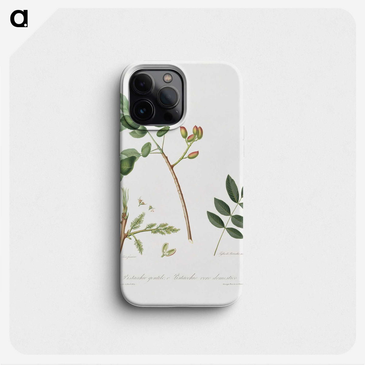 2-35_Pomona-Italiana_phone