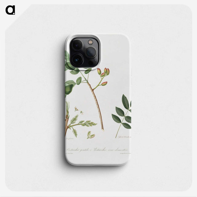 2-35_Pomona-Italiana_phone