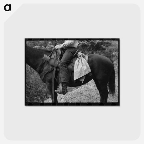 アートポストカード-Sheepherder on his Horse
 - ラッセル リー Postcard.
