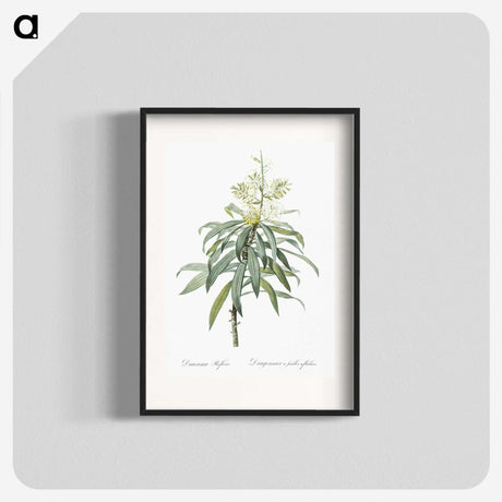 2-35_The-Lilies_blk
