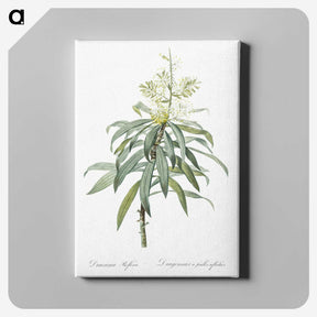 2-35_The-Lilies_canvas