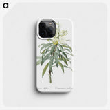 2-35_The-Lilies_phone