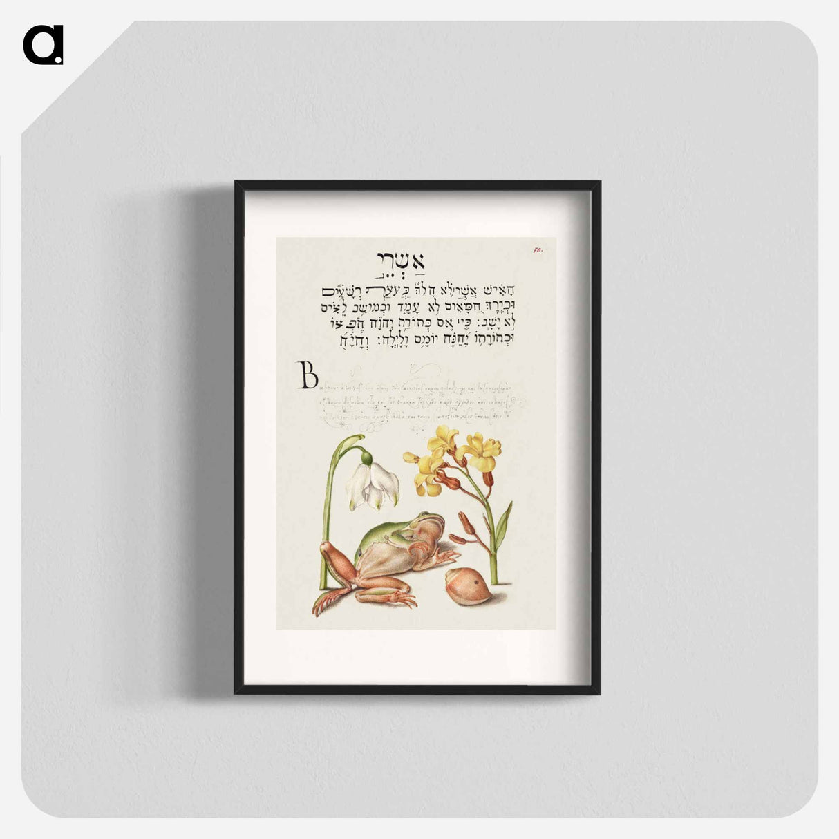 アートポスター-Spring Snowflake, Tree Frog, Wallflower, and Marine Mollusk
 - 書道のお手本 Poster.