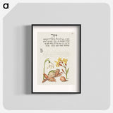 アートポスター-Spring Snowflake, Tree Frog, Wallflower, and Marine Mollusk
 - 書道のお手本 Poster.