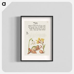 アートポスター-Spring Snowflake, Tree Frog, Wallflower, and Marine Mollusk
 - 書道のお手本 Poster.