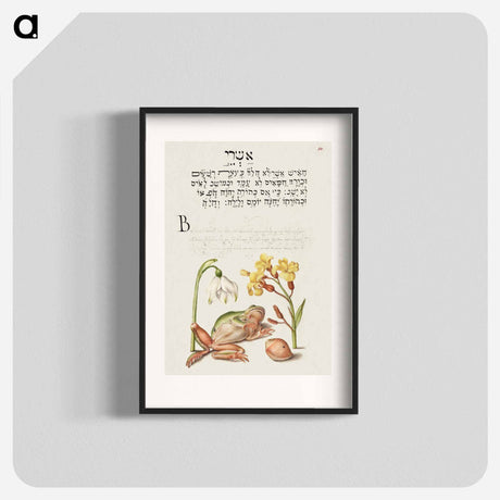 アートポスター-Spring Snowflake, Tree Frog, Wallflower, and Marine Mollusk
 - 書道のお手本 Poster.