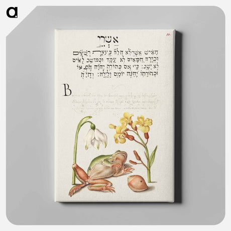 アートパネル-Spring Snowflake, Tree Frog, Wallflower, and Marine Mollusk
 - 書道のお手本 Canvas.