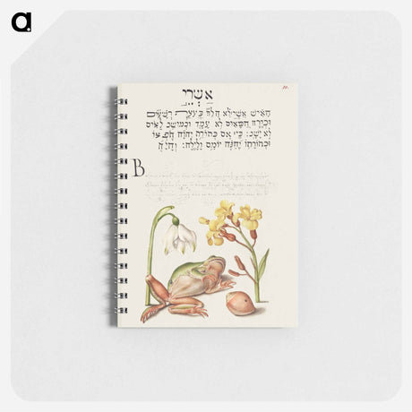 アートメモ帳-Spring Snowflake, Tree Frog, Wallflower, and Marine Mollusk
 - 書道のお手本 Memo.