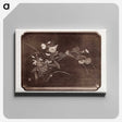 2-35_The-Ornamental-Arts-of-Japan_canvas