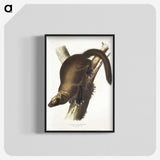 2-35_The-Viviparous-Quadrupeds_blk-crop