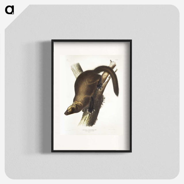 2-35_The-Viviparous-Quadrupeds_blk