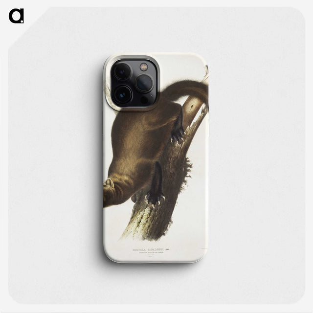 2-35_The-Viviparous-Quadrupeds_phone