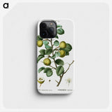2-35_Treatise-on-Trees-and-Shrubs_phone