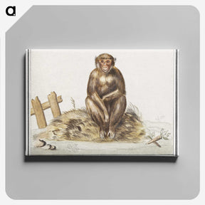 2-36_Anselmus-Boetius-de-Boodt_canvas