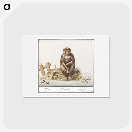 2-36_Anselmus-Boetius-de-Boodt_hagaki