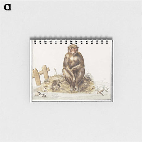 2-36_Anselmus-Boetius-de-Boodt_memo