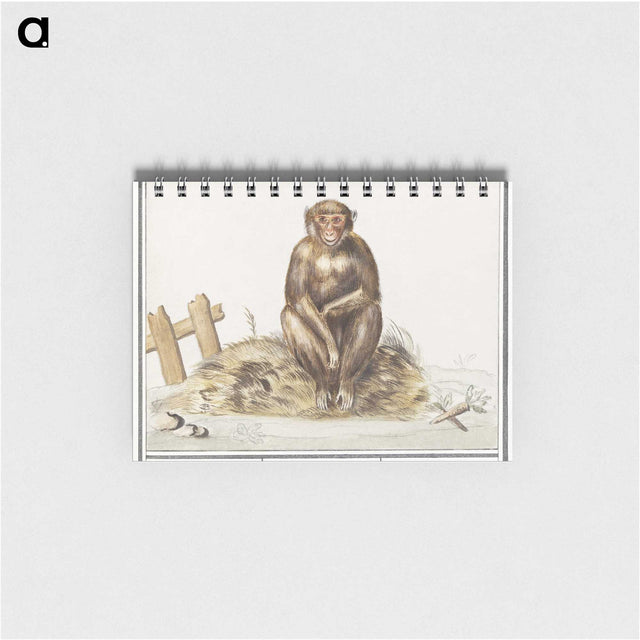 2-36_Anselmus-Boetius-de-Boodt_memo