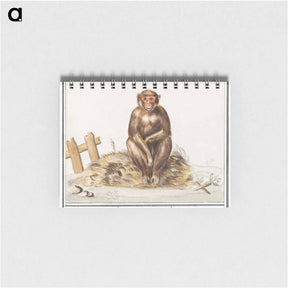 アートメモ帳-Monkey, Primates - アンセルムス ボエティウス デ ブート Memo.