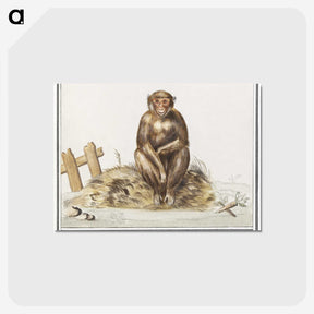 2-36_Anselmus-Boetius-de-Boodt_postcard