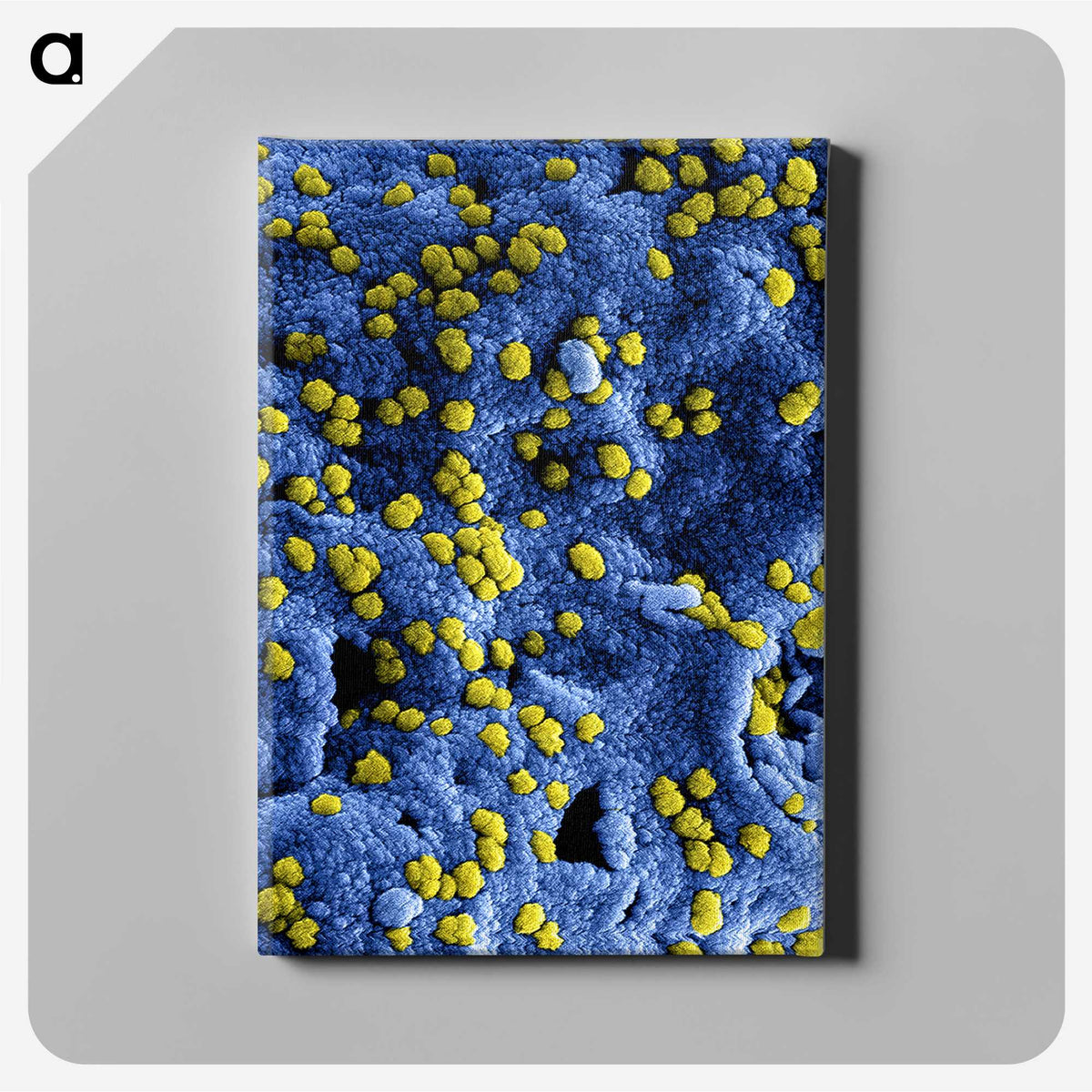 2-36_COVID-19_canvas