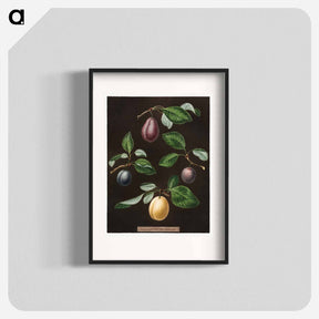 アートポスター-Plums
 - クリーブランド美術館 Poster.