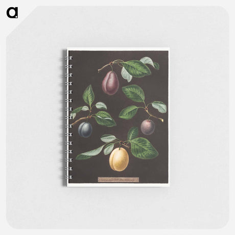 アートメモ帳-Plums
 - クリーブランド美術館 Memo.