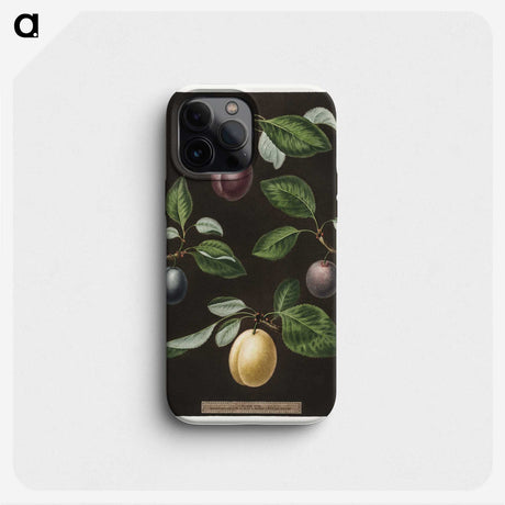 2-36_Cleveland-Museum-of-Art_phone