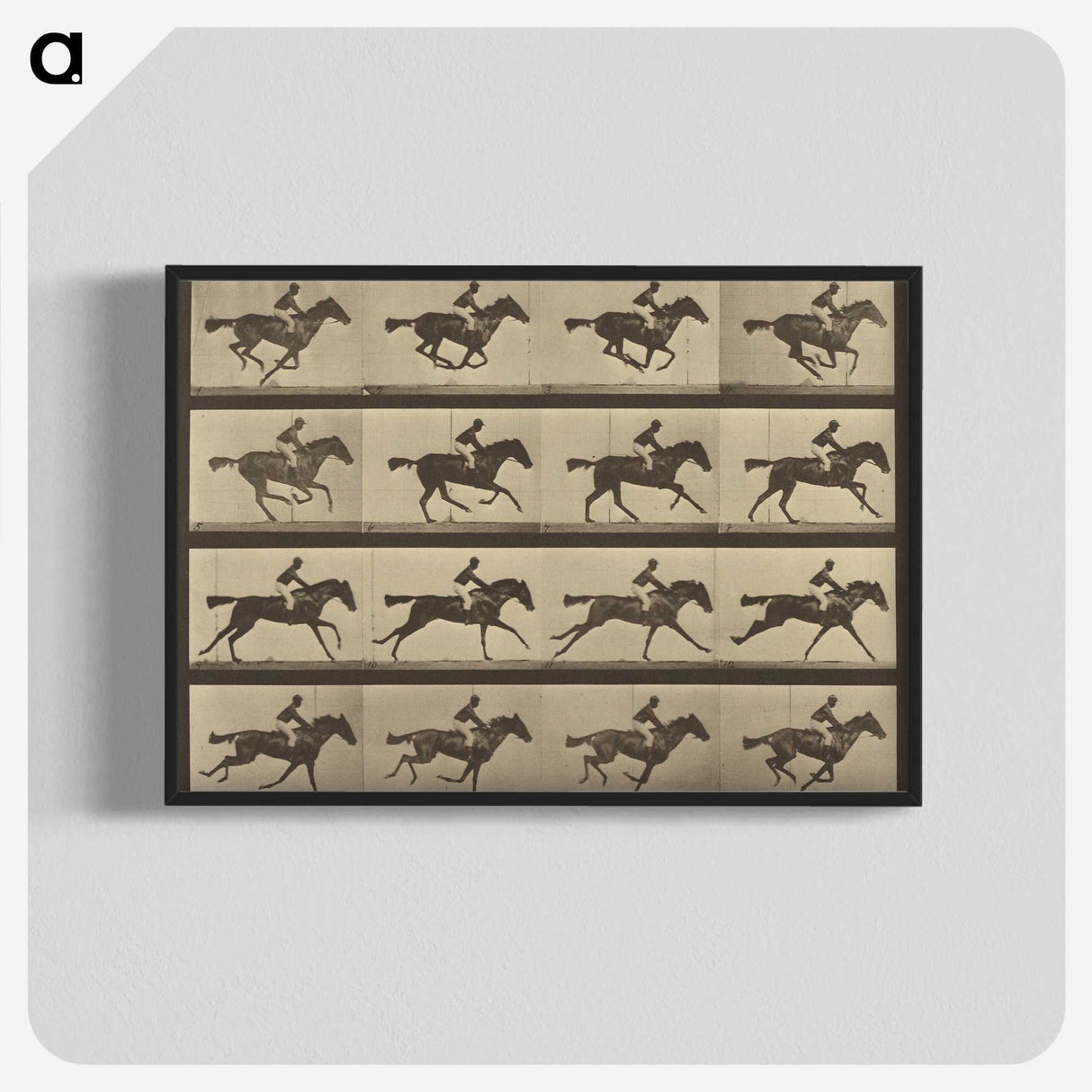 2-36_Eadweard-Muybridge_blk-crop