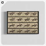 2-36_Eadweard-Muybridge_blk-crop