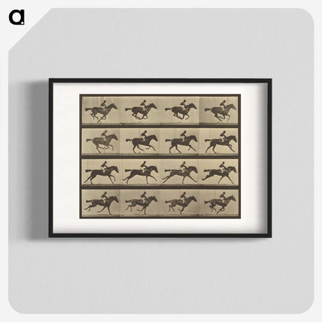 2-36_Eadweard-Muybridge_blk