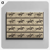 2-36_Eadweard-Muybridge_canvas