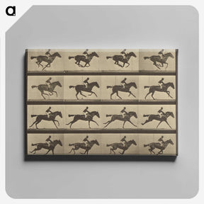 2-36_Eadweard-Muybridge_canvas