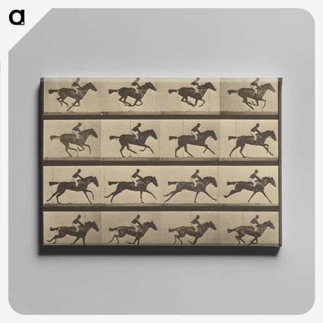 2-36_Eadweard-Muybridge_canvas