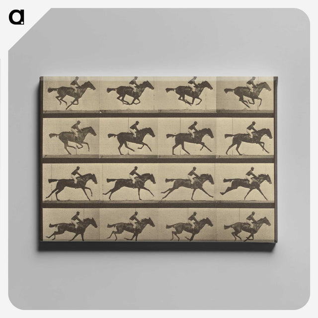 2-36_Eadweard-Muybridge_canvas