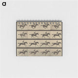 2-36_Eadweard-Muybridge_memo