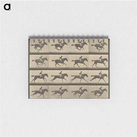 2-36_Eadweard-Muybridge_memo