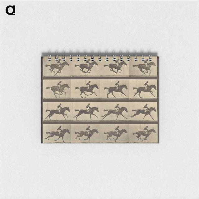 2-36_Eadweard-Muybridge_memo