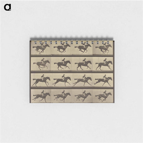 アートメモ帳-Animal Locomotion
 - エドワード マイブリッジ Memo.