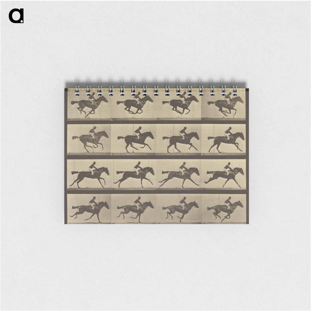 アートメモ帳-Animal Locomotion
 - エドワード マイブリッジ Memo.