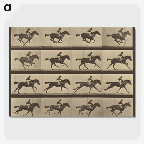 2-36_Eadweard-Muybridge_picture-crop