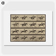 2-36_Eadweard-Muybridge_picture