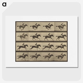 2-36_Eadweard-Muybridge_picture