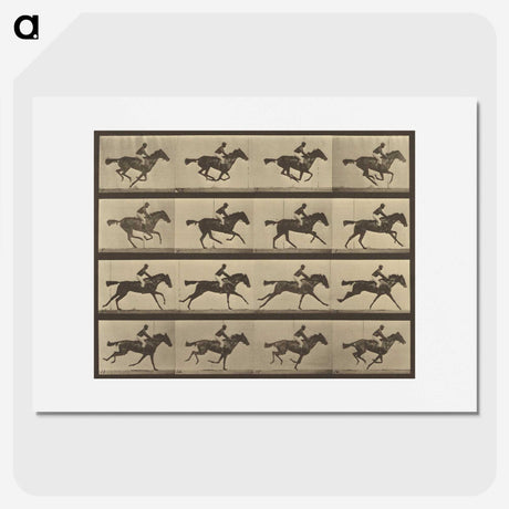 2-36_Eadweard-Muybridge_picture
