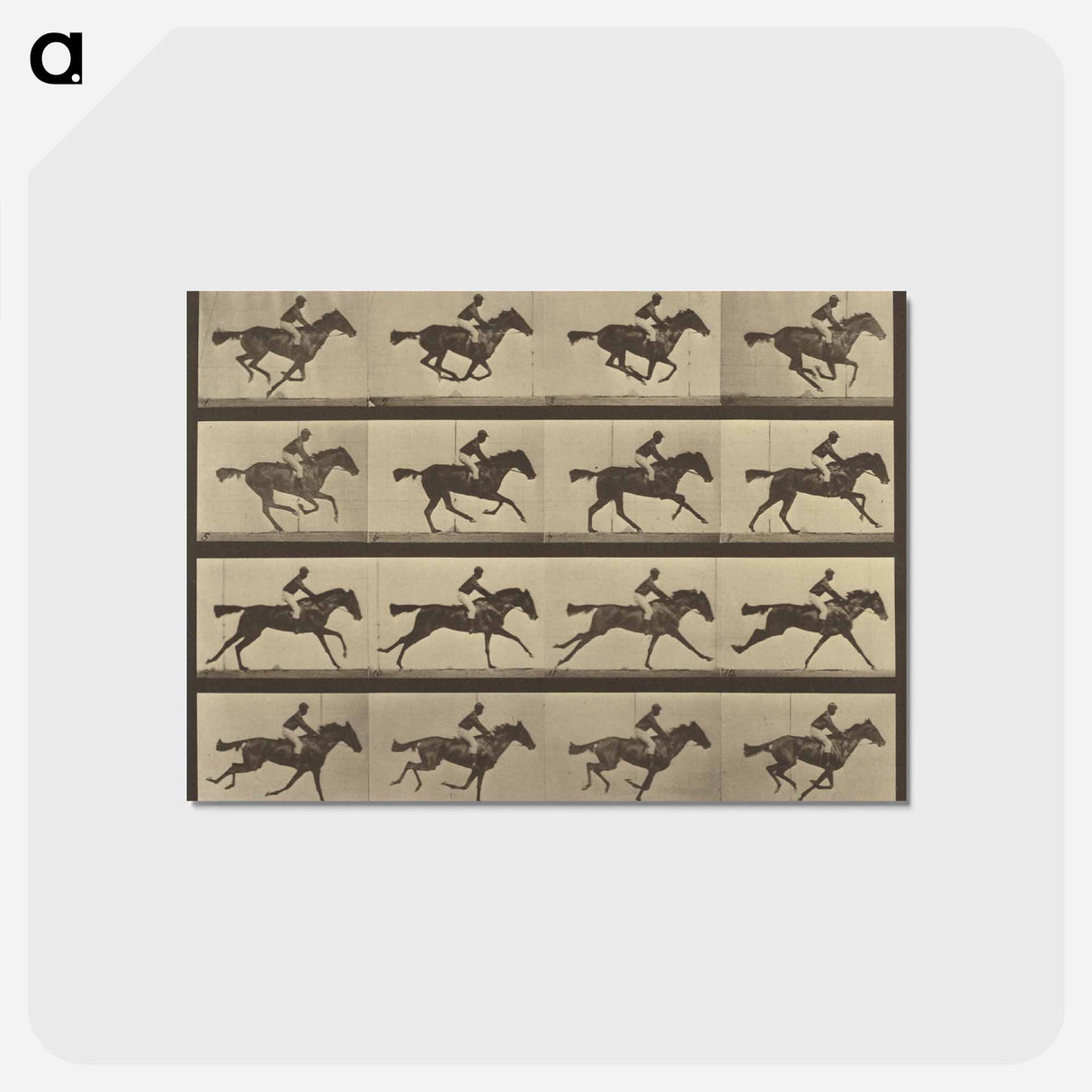 アートポストカード-Animal Locomotion
 - エドワード マイブリッジ Postcard.