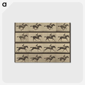 2-36_Eadweard-Muybridge_postcard