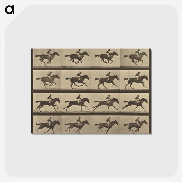 2-36_Eadweard-Muybridge_postcard