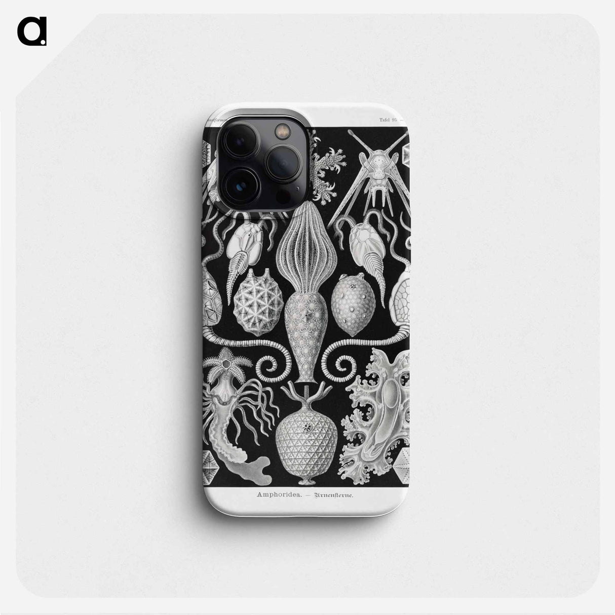 Amphoridea–Urnensterne - エルンスト ヘッケル Phone Case.